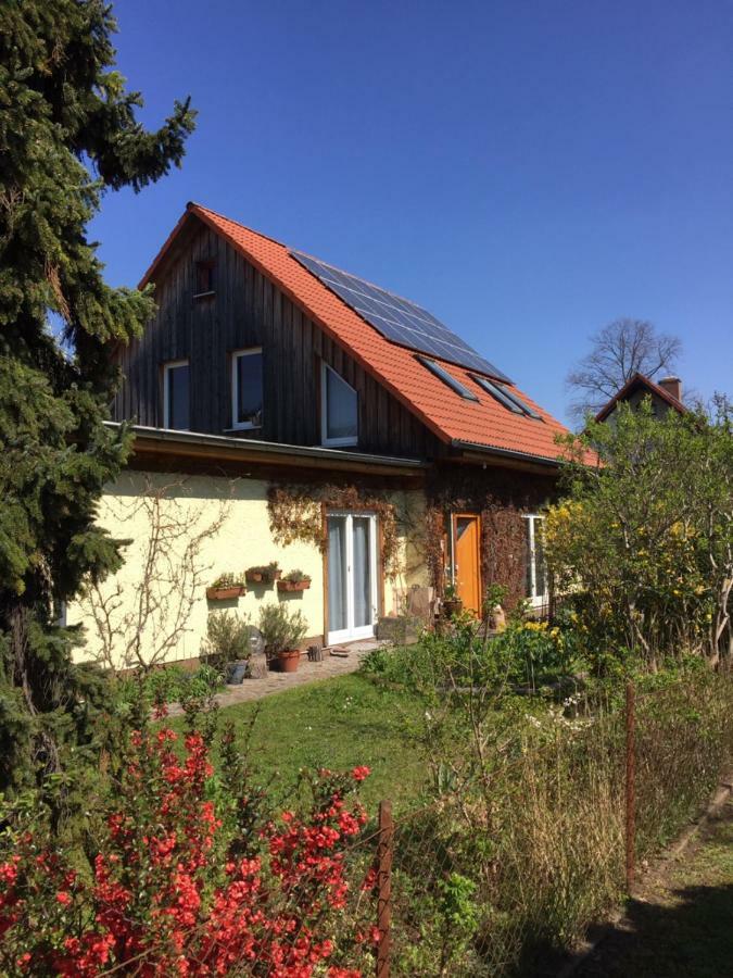 Nice Room In Green Pankow District Berlim Exterior foto